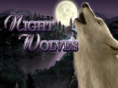 night wolves