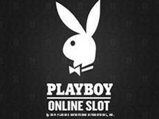 playboy