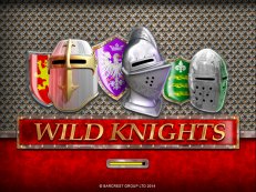 wild knights