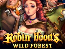 robin hood wild forest