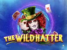 the wild hatter