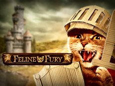 Feline Fury