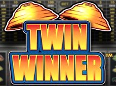 Twin Winner multiplayer gokkast