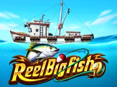 Reel Big Fish gokkast