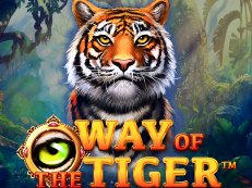 Way of the Tiger gokkast